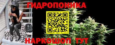 герыч Будённовск